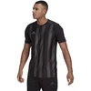 Adidas Dry-Fit 21 JSY M GN7625 marškinėliai