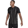 Adidas Dry-Fit 21 JSY M GN7625 marškinėliai