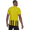 Adidas Dry-Fit 21 JSY M GV1378 marškinėliai