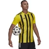 Adidas Dry-Fit 21 JSY M GV1378 marškinėliai