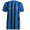 Adidas Dry-Fit 21 JSY M GV1380 Marškinėliai