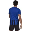 Adidas Dry-Fit 21 JSY M GV1380 Marškinėliai
