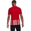 adidas Dry-Fit marškinėliai M GN7624