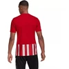 adidas Dry-Fit marškinėliai M GN7624