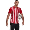 adidas Dry-Fit marškinėliai M GN7624