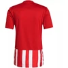 adidas Dry-Fit marškinėliai M GN7624