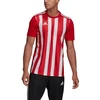 adidas Dry-Fit marškinėliai M GN7624