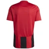 Adidas Dryžuoti 24 marškinėliai M IW4556