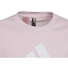 Adidas Dvigubo Logotipo Hoodies Jr IC6119