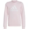 Adidas Dvigubo Logotipo Hoodies Jr IC6119