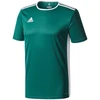 adidas Entrada 18 Jaunes marškinėliai CD8358
