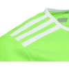 adidas Entrada 18 Jaunių Marškinėliai CE9755