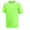 adidas Entrada 18 Jaunių Marškinėliai CE9755