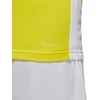 adidas Entrada 18 marškinėliai futbolui CD8390