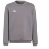 Adidas Entrada 22 Berni Marškiniai Jr H57477
