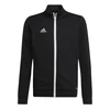 Adidas Entrada 22 Džemperis Jaunimui H57520