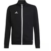 Adidas Entrada 22 Džemperis Jaunimui H57520