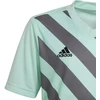 adidas Entrada 22 Grafinis Džersis Jaunesniajam HF0127