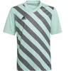 adidas Entrada 22 Grafinis Džersis Jaunesniajam HF0127