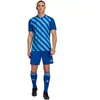 adidas Entrada 22 Grafinis Džersis M HF0116