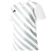 adidas Entrada 22 Grafinis Džersis M HF0129