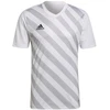 adidas Entrada 22 Grafinis Džersis M HF0129