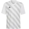 Adidas Entrada 22 Graphic marškinėliai Jr HF0120