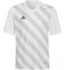 Adidas Entrada 22 Graphic marškinėliai Jr HF0120