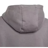 Adidas Entrada 22 Hoody Jr Džemperis H57515