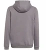Adidas Entrada 22 Hoody Jr Džemperis H57515