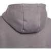 Adidas Entrada 22 Hoody Jr Džemperis H57515