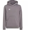 Adidas Entrada 22 Hoody Jr Džemperis H57515