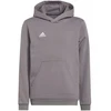 Adidas Entrada 22 Hoody Jr Džemperis H57515