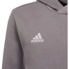 Adidas Entrada 22 Hoody Jr Džemperis H57515