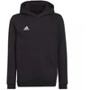 Adidas Entrada 22 Hoody Jr Džemperis H57516
