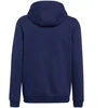 Adidas Entrada 22 Hoody Jr Džemperis H57517