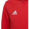Adidas Entrada 22 Hoody Jr. Džemperis H57566
