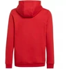 Adidas Entrada 22 Hoody Jr. Džemperis H57566