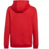 Adidas Entrada 22 Hoody Jr. Džemperis H57566