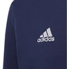 Adidas Entrada 22 Hoody Jr Džemperis H57568
