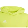Adidas Entrada 22 Hoody Jr HC5069 džemperis