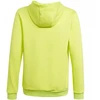 Adidas Entrada 22 Hoody Jr HC5069 džemperis