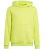 Adidas Entrada 22 Hoody Jr HC5069 džemperis