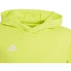 Adidas Entrada 22 Hoody Jr HC5069 džemperis