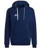 Adidas Entrada 22 Hoody M H57513 džemperis