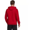 Adidas Entrada 22 Hoody M H57514 džemperis