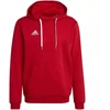 Adidas Entrada 22 Hoody M H57514 džemperis