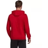 Adidas Entrada 22 Hoody M H57514 džemperis