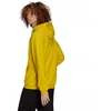 Adidas Entrada 22 Hoody M HI2140 džemperis