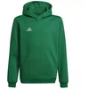 Adidas Entrada 22 Hoody Y Jr. džemperis HI2143